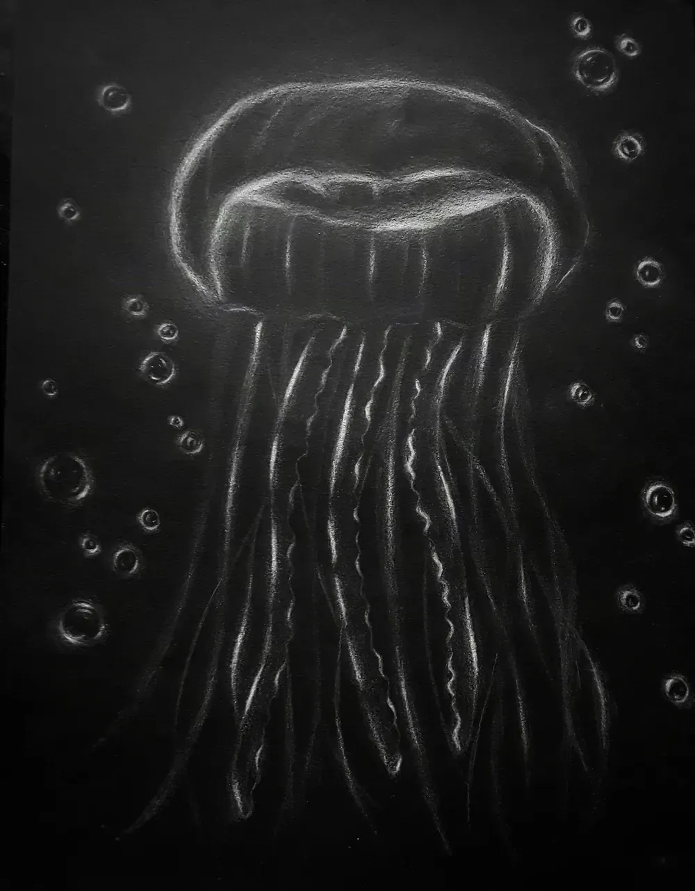 Medusa a carboncillo blanco sobre papel negro, con tentáculos y burbujas trabajados como puntos de luz