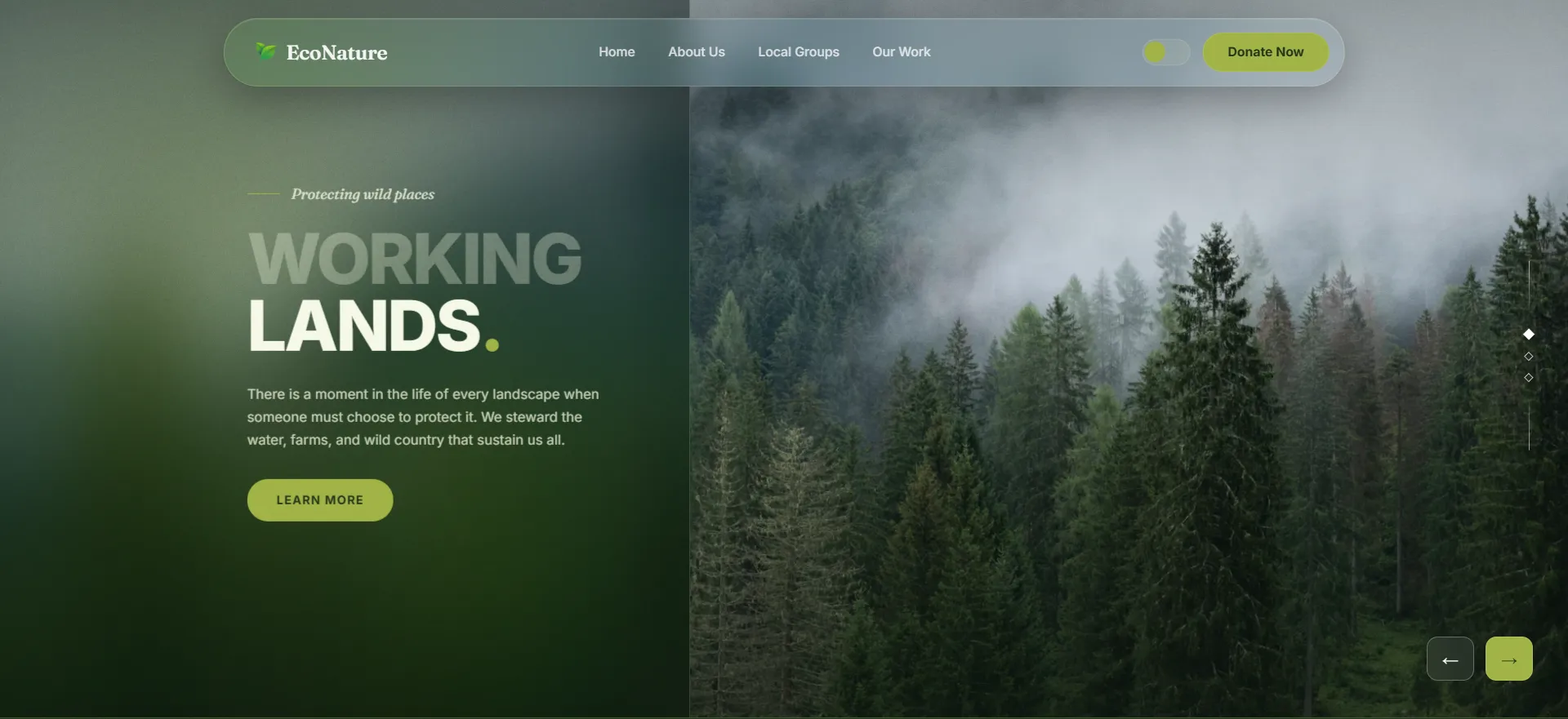 Glassmorphism hero section for eco-nonprofit homepage redesign with frosted glass navbar over a foggy forest photo